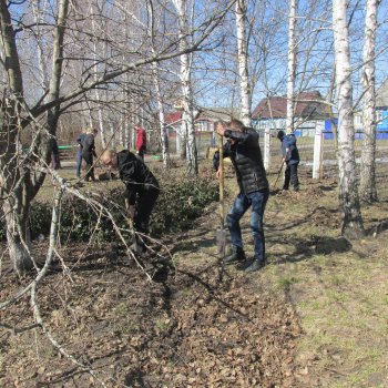 Благоустройство территории