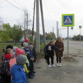 Волонтёрское  движение